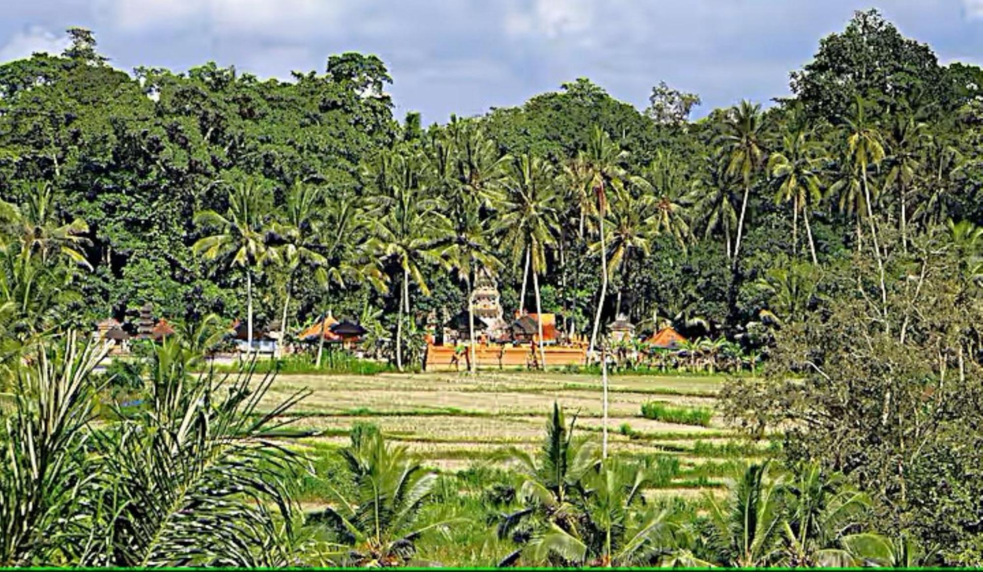 Villa Ria Sayan Ubud Extérieur photo